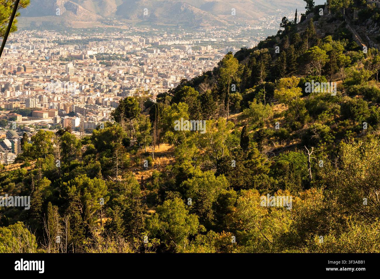 Panoramablick aus großer Höhe auf die Stadt Palermo und die umliegenden Berge, eingerahmt von üppigen grünen Bäumen auf einem Hügel Stockfoto