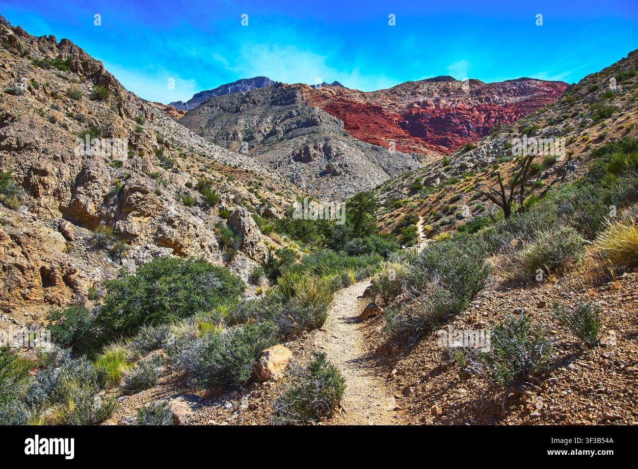 Wüstentrekkingpfad durch das felsige Ash Canyon mit roten Bergen und blauem Himmel Stockfoto
