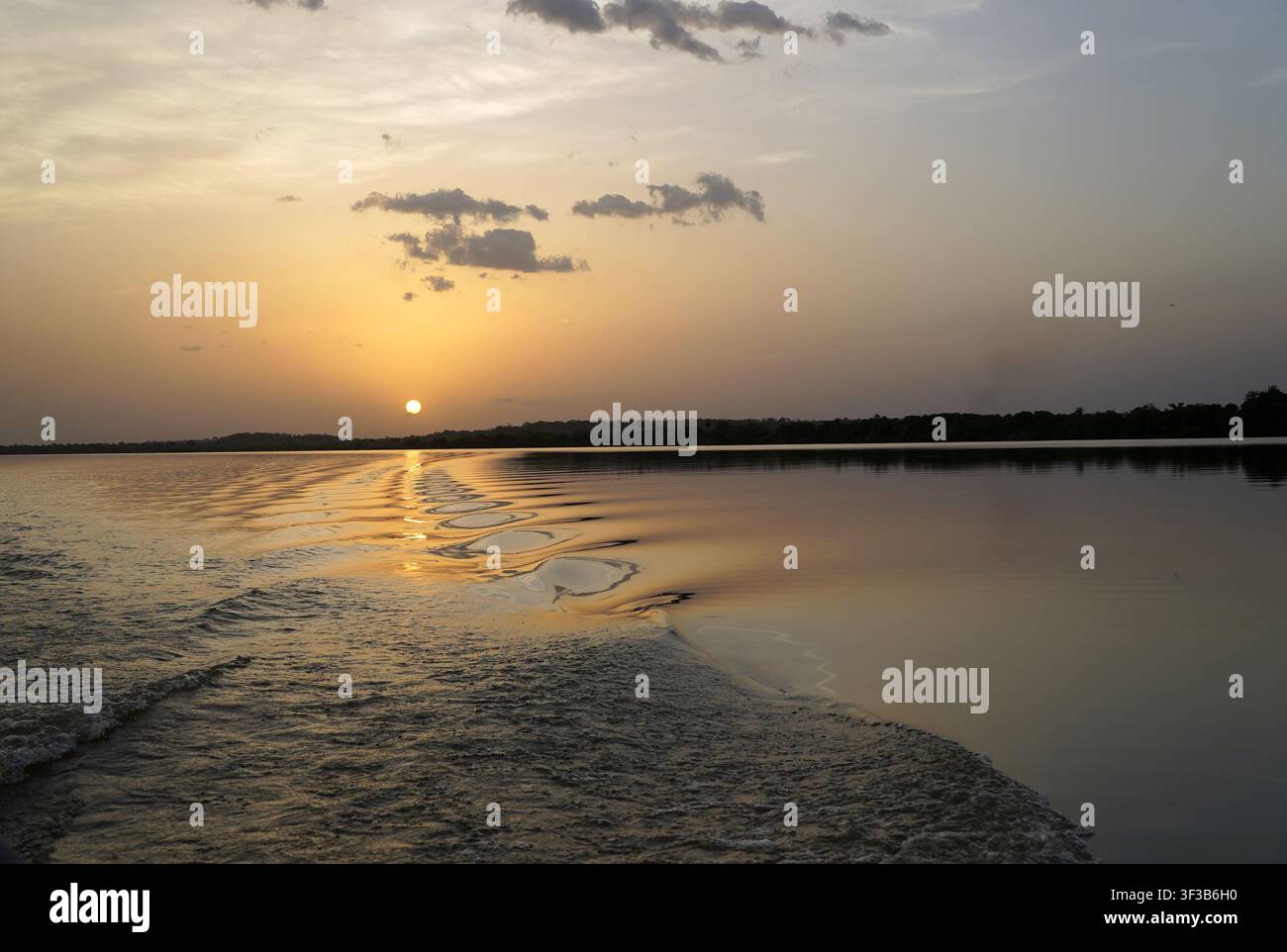 Die untergehende Sonne wirft einen goldenen Schimmer über sanfte Bootsspuren und ruhige Gewässer entlang des Gambia-Flusses nahe Janjanbureh, The Gambia Stockfoto