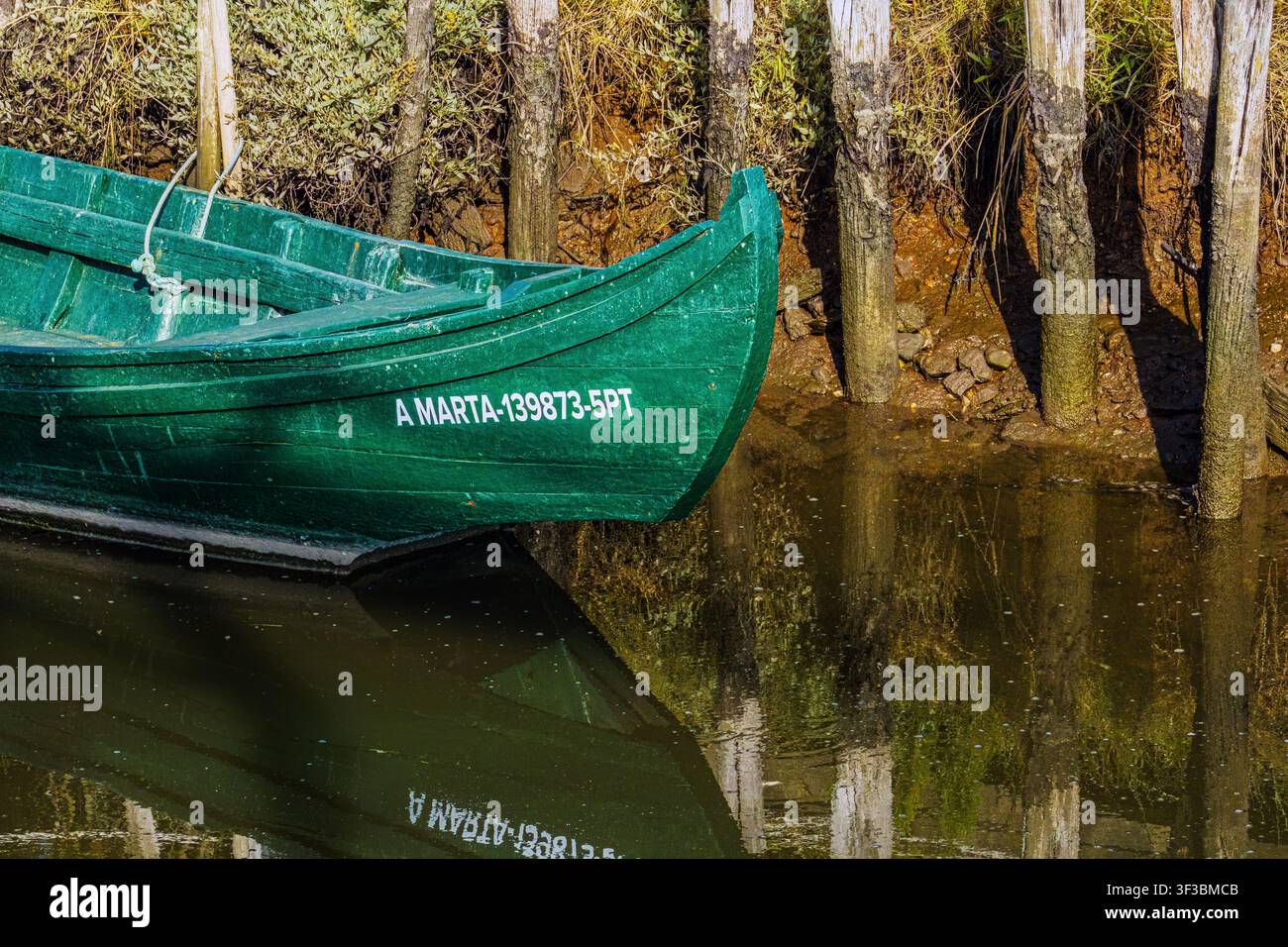 Grünes Boot ruht neben ruhigem Wasser Stockfoto