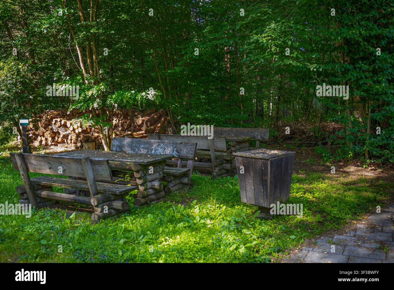 Rustikale Holztische und Bänke für Picknicks in einem schattigen Erholungsgebiet im Wald, umgeben von üppiger Vegetation und friedlicher Waldatmosphäre Stockfoto