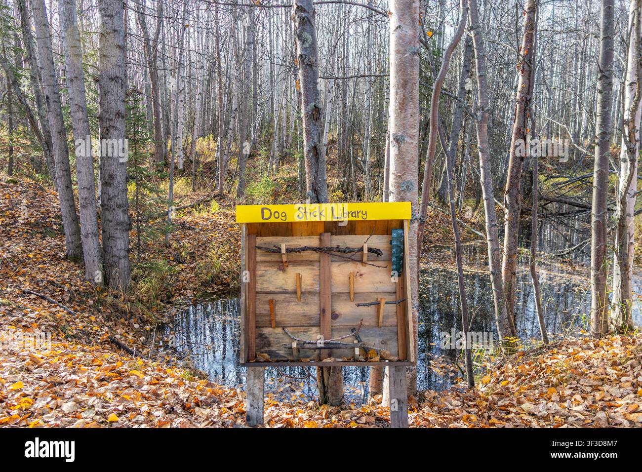 Kreativer Holzstand mit Stöcken für Hunde zum Spielen in einem öffentlichen Park in Anchorage, Alaska. Haustierfreundliche Initiative. Stockfoto