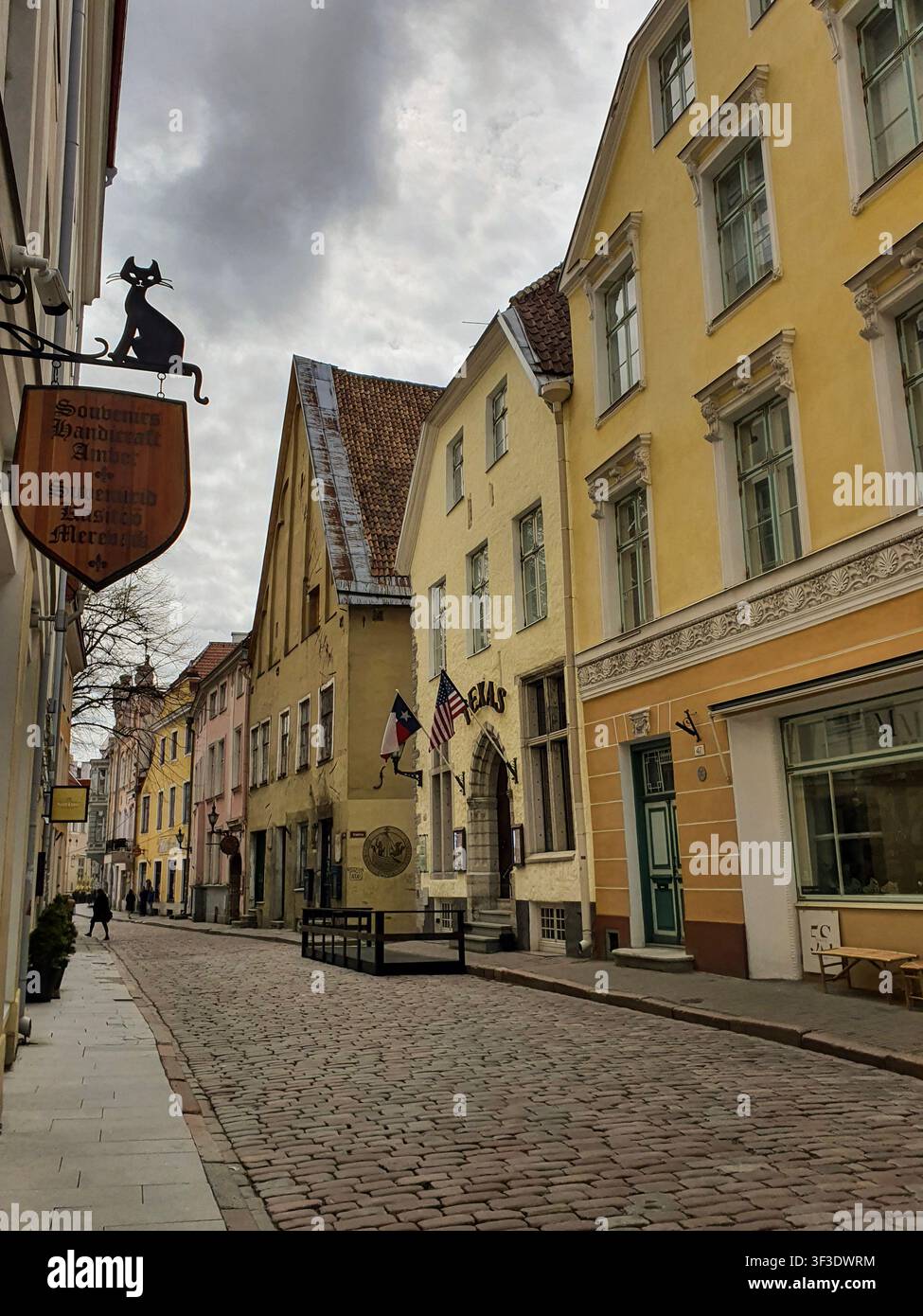 Tallinn, Estland - 12. Mai 2022: Kopfsteinpflasterstraße in der Altstadt mit einem schwarzen Katzensouvenirladen-Schild und gelben mittelalterlichen Gebäuden. Stockfoto