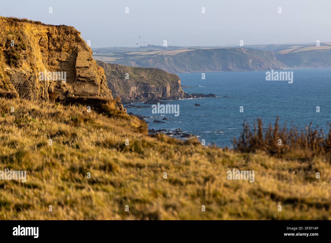 Cornwall 2026 Bude, England - 18.7.2026: Die Klippen und Küstenpfade von Bude in Cornwall, England Stockfoto