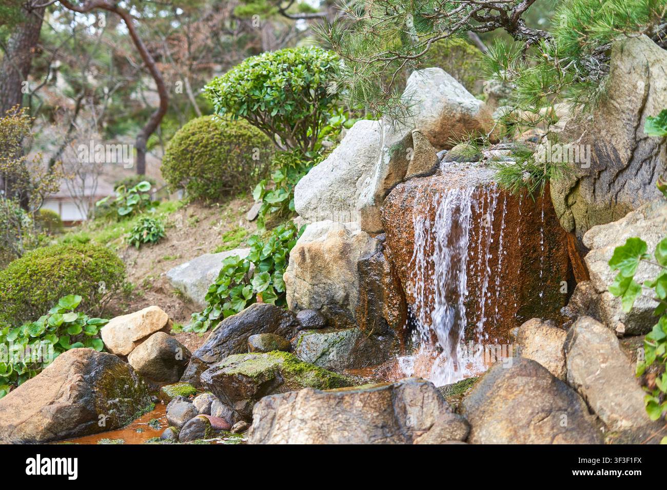 Ein friedlicher japanischer Garten mit einem kleinen künstlichen Wasserfall, der über moosbedeckte Felsen fällt. Das Wasser fließt einen texturierten rötlich-braunen Abhang hinunter Stockfoto