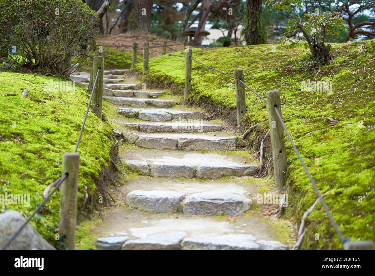 Ein ruhiger Steinweg windet sich durch einen üppigen japanischen Garten, der moosbedeckte Ufer und rustikale Holzpfosten umfasst, die durch Seilgeländer verbunden sind. Der Stockfoto