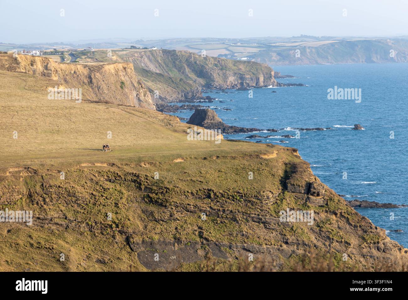 Cornwall 2026 Bude, England - 18.7.2026: Zwei Männer sitzen auf einer Parkbank mit Blick auf die Klippen und Küstenpfade von Bude in Cornwall. England Stockfoto
