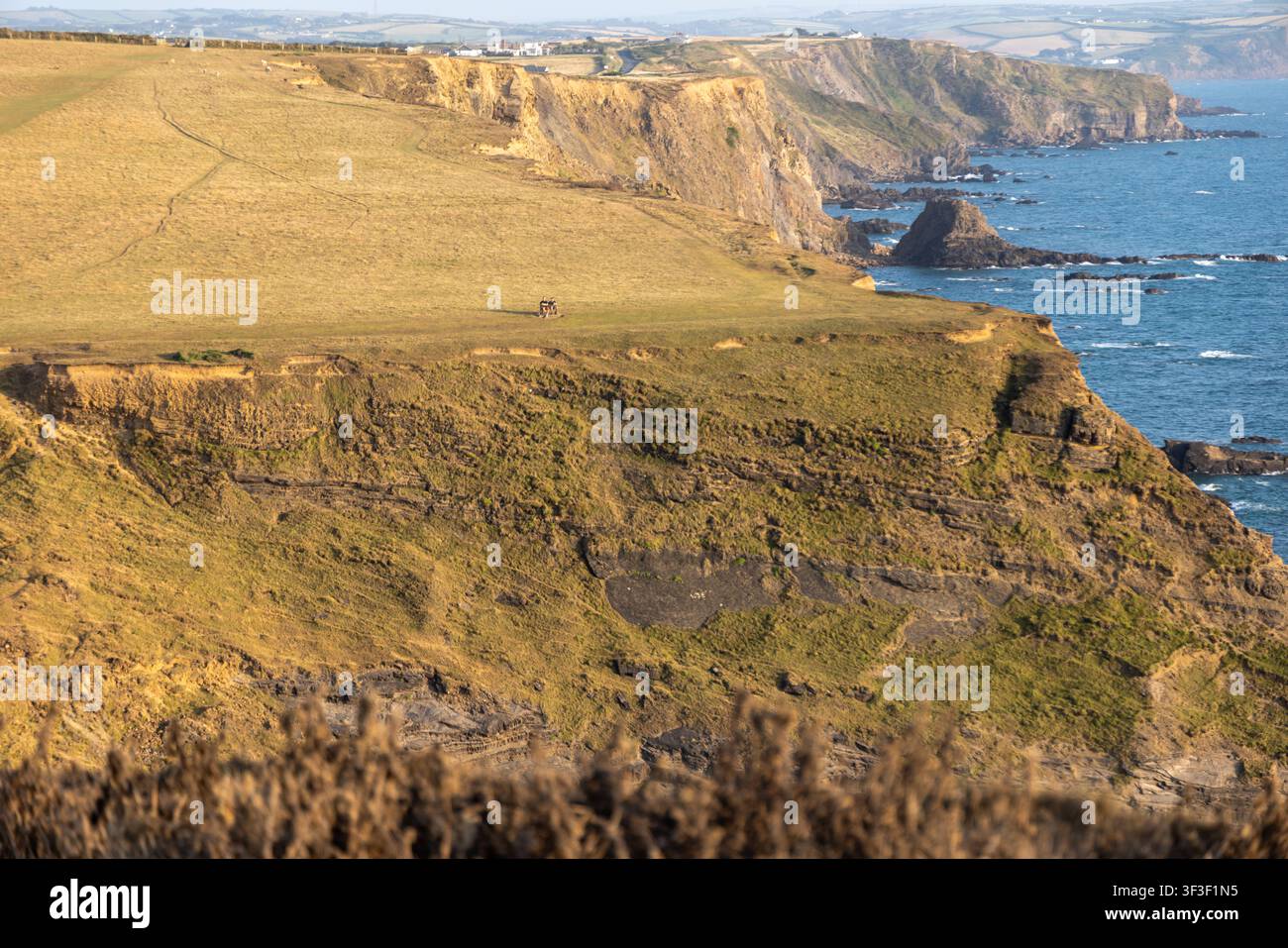 Cornwall 2026 Bude, England - 18.7.2026: Zwei Männer sitzen auf einer Parkbank mit Blick auf die Klippen und Küstenpfade von Bude in Cornwall. England Stockfoto