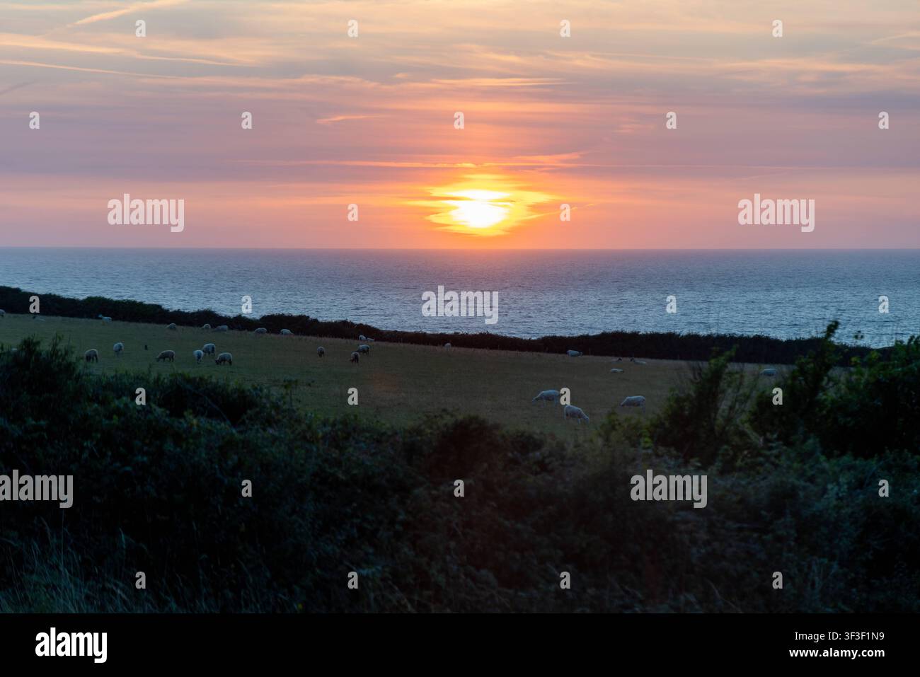 Cornwall 2026 Bude, England - 18.7.2026: Sonnenuntergang bei den Klippen und Küstenpfade von Bude in Cornwall, im Vordergrund sind Schafe zu sehen. England Stockfoto