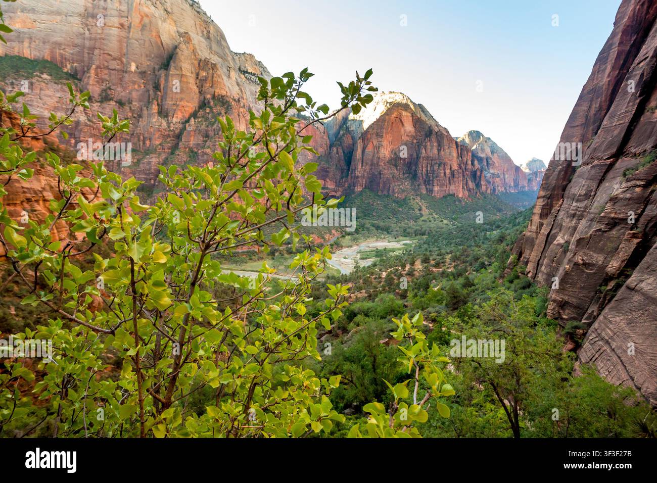 Blick hinunter in den Kühlschrank Canyon vom West Rim Trail bis zum Angels Landing im Zion National Park, Utah Stockfoto