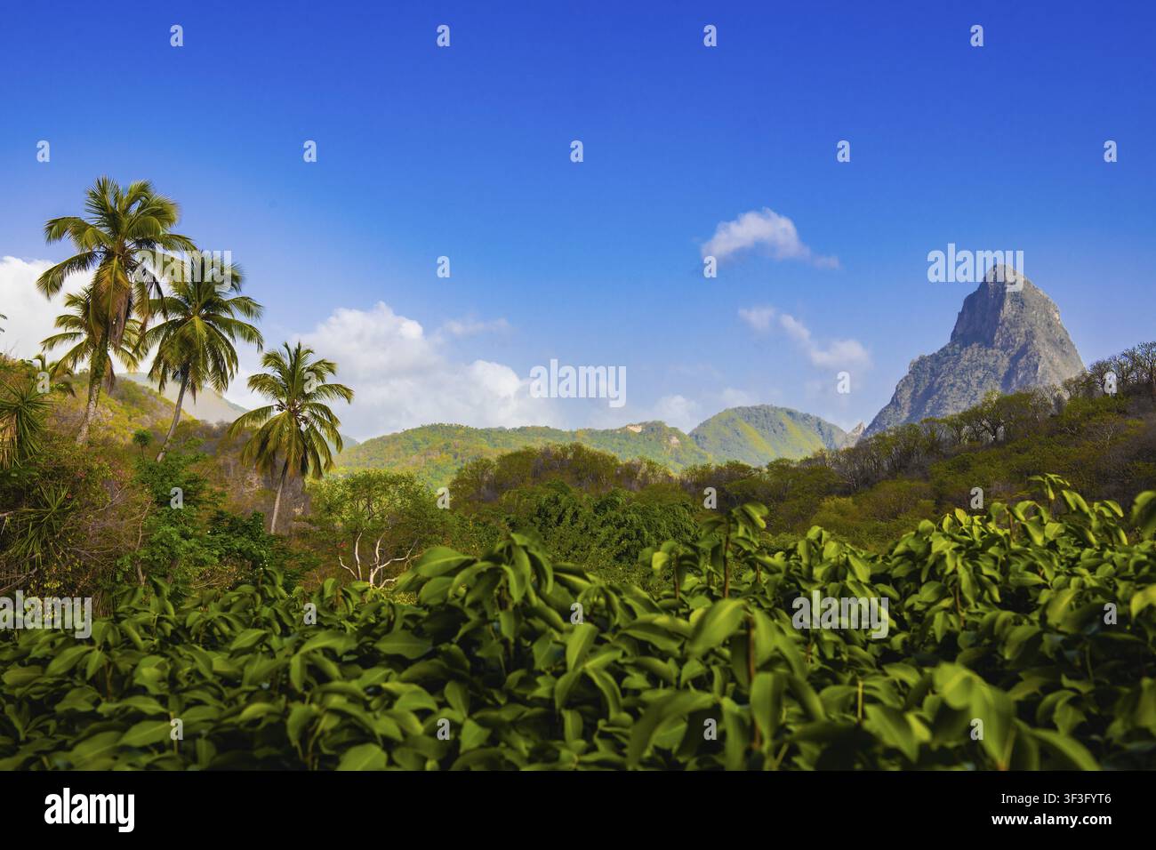 Blick vom Jaden Hotel auf den Gipfel des Petite Piton, Soufriere, Saint Lucia, Kleinere Antillen, Westindien, Karibik Stockfoto