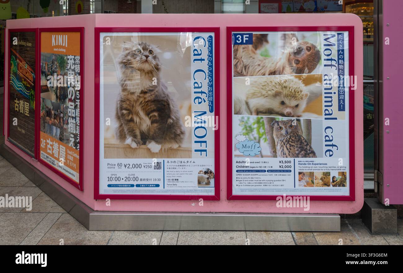 Tokio, Japan – 14. April 2026: Das Cat and Moff Tiercafé bietet ein Café mit Katzen, Eulen und Faultieren, typischer Laden in der Takeshita-Straße, Harakuju, Stockfoto