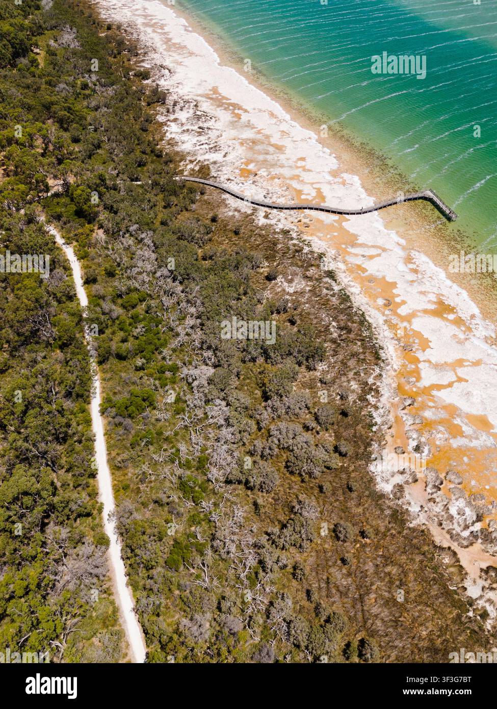 Luftbild der Thrombolithen des Lake Clifton mit einem hölzernen Promenadenweg entlang des Ufers, einheimischer Vegetation und türkisfarbenem Seewasser im Lake Clifton, We Stockfoto