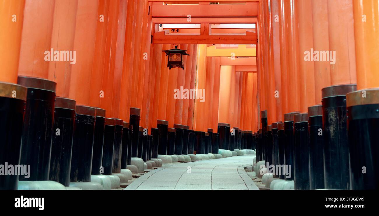Leere rote Torii-Tor-Tunnel-Perspektivansicht am Fushimi-Inari-Schrein in Kyoto, Japan Stockfoto