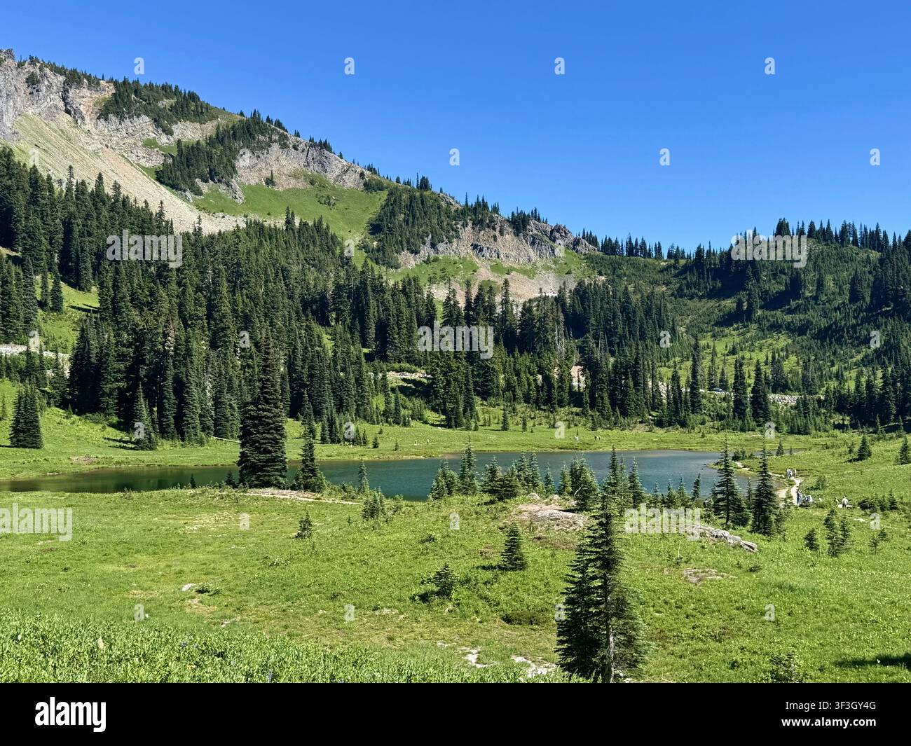 Sommerliche Alpenlandschaft mit einem kleinen Bergsee, üppigen Wiesen und immergrünem Wald nahe Naches Peak, Bundesstaat Washington, USA. Stockfoto