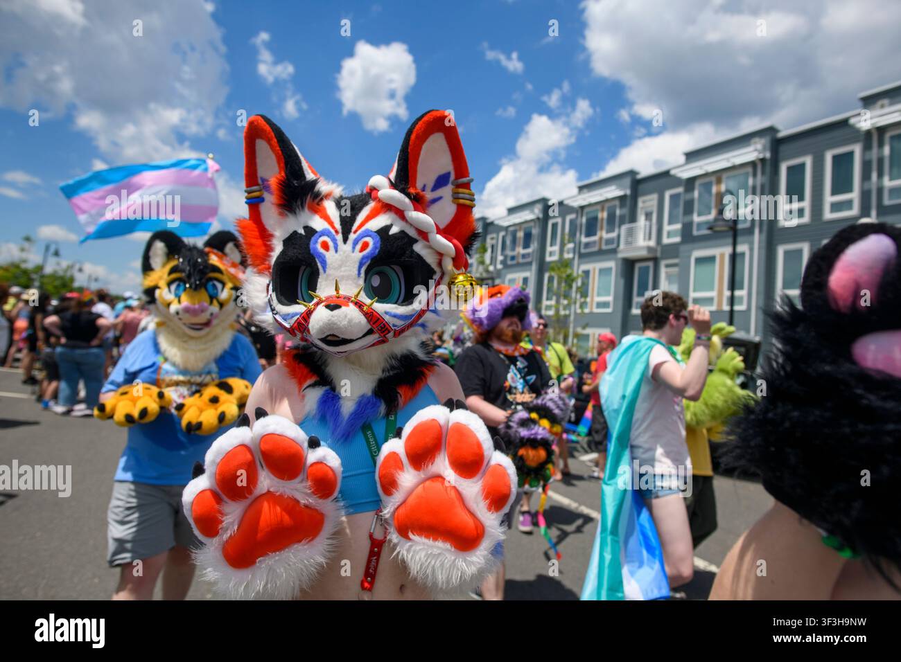 Fursuiter mit einer Transgender-Flagge bei der Pride-Parade Stockfoto