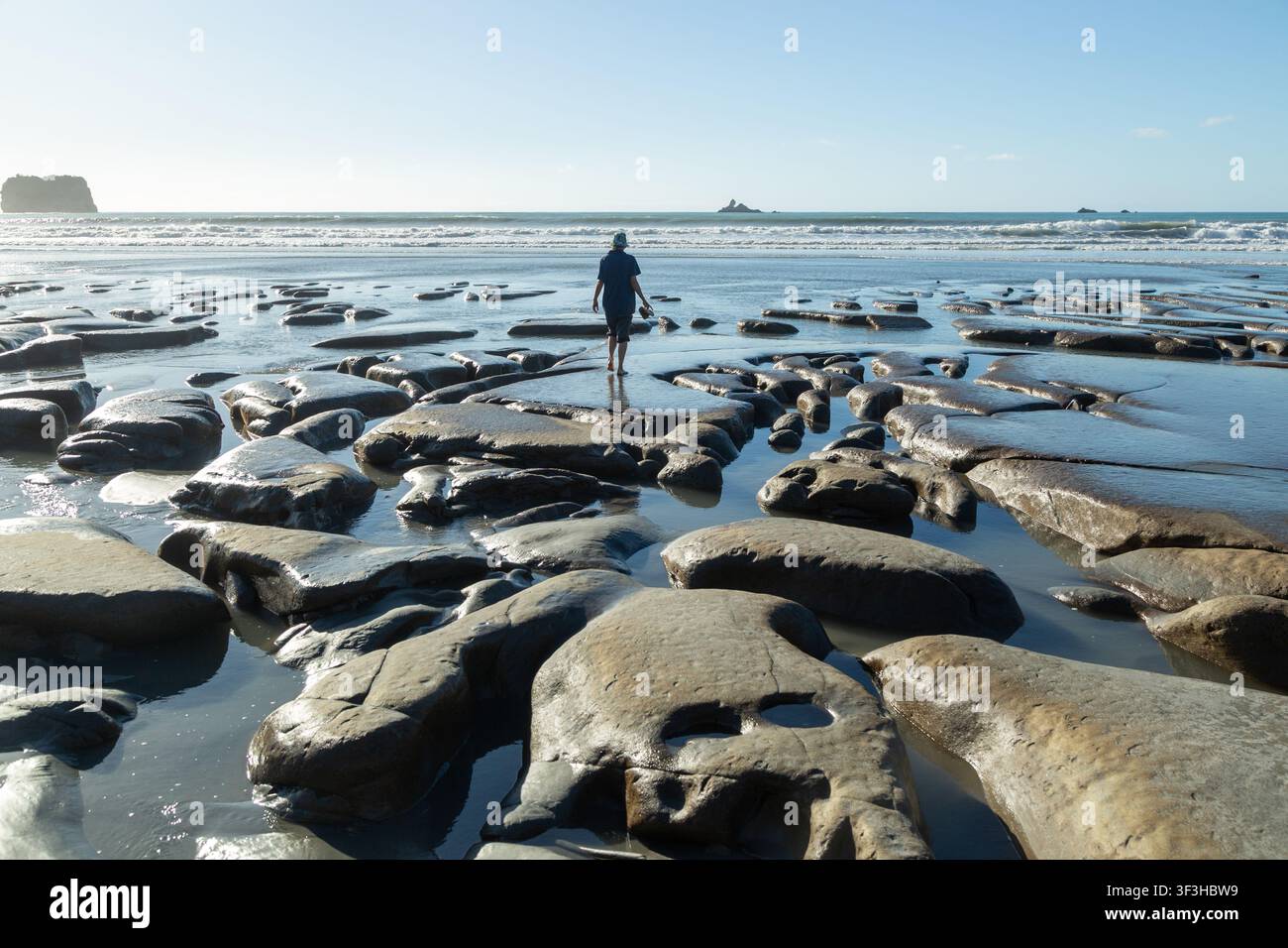Rapahoe Beach, West Coast Region, Südinsel, Neuseeland Stockfoto