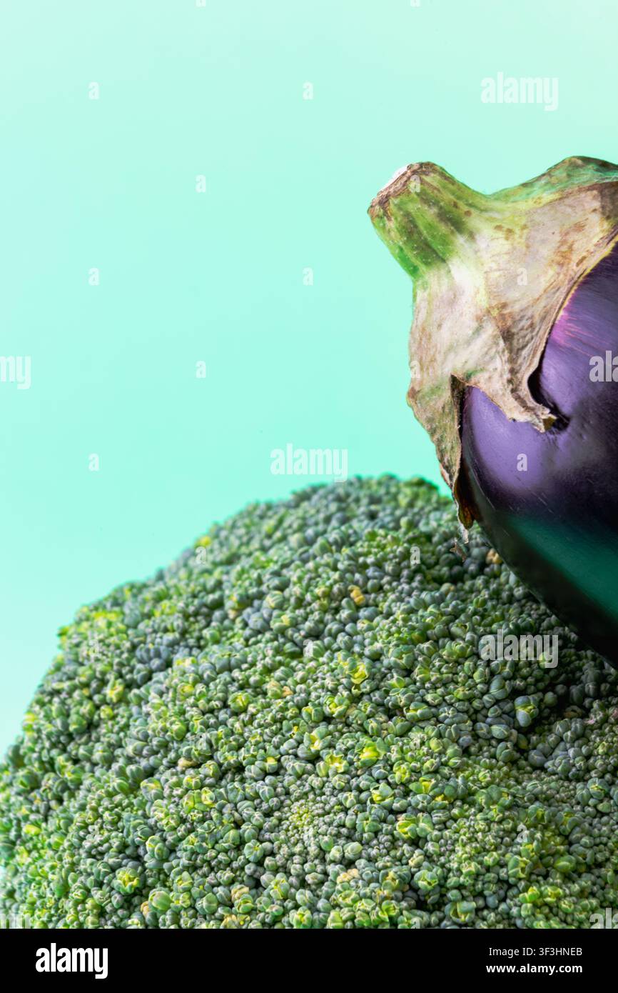 Eine vertikale Nahaufnahme, die eine frische Brokkolisprosse zeigt, die gegen eine violette Aubergine ruht. Das Bild betont die komplexe, waldähnliche Struktur Stockfoto