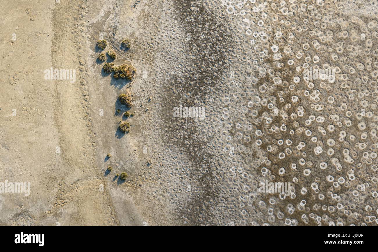 Luftbild einer abstrakten Salzkrustentransition und Mineraltexturen mit kreisförmigen Mustern und spärlicher Vegetation in Frankreich. Stockfoto