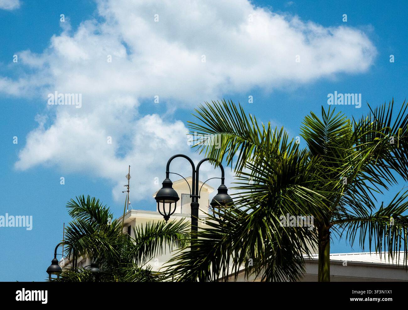 Palmen und klassische schwarze Metall-Zwillingslaternen im Zentrum von George Town, Cayman Islands Stockfoto