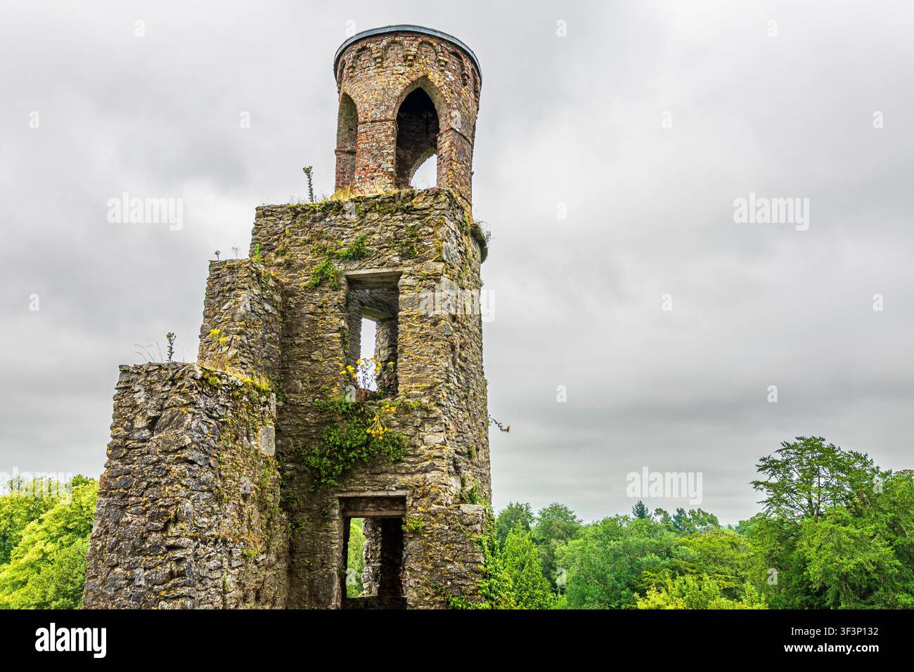 Vertikale Ansicht eines verfallenen Steinturms mit einem Backstein-Turmchen am Blarney Castle in der Grafschaft Cork, Irland. Die alte Burgstruktur ist mit Moos bedeckt und Stockfoto