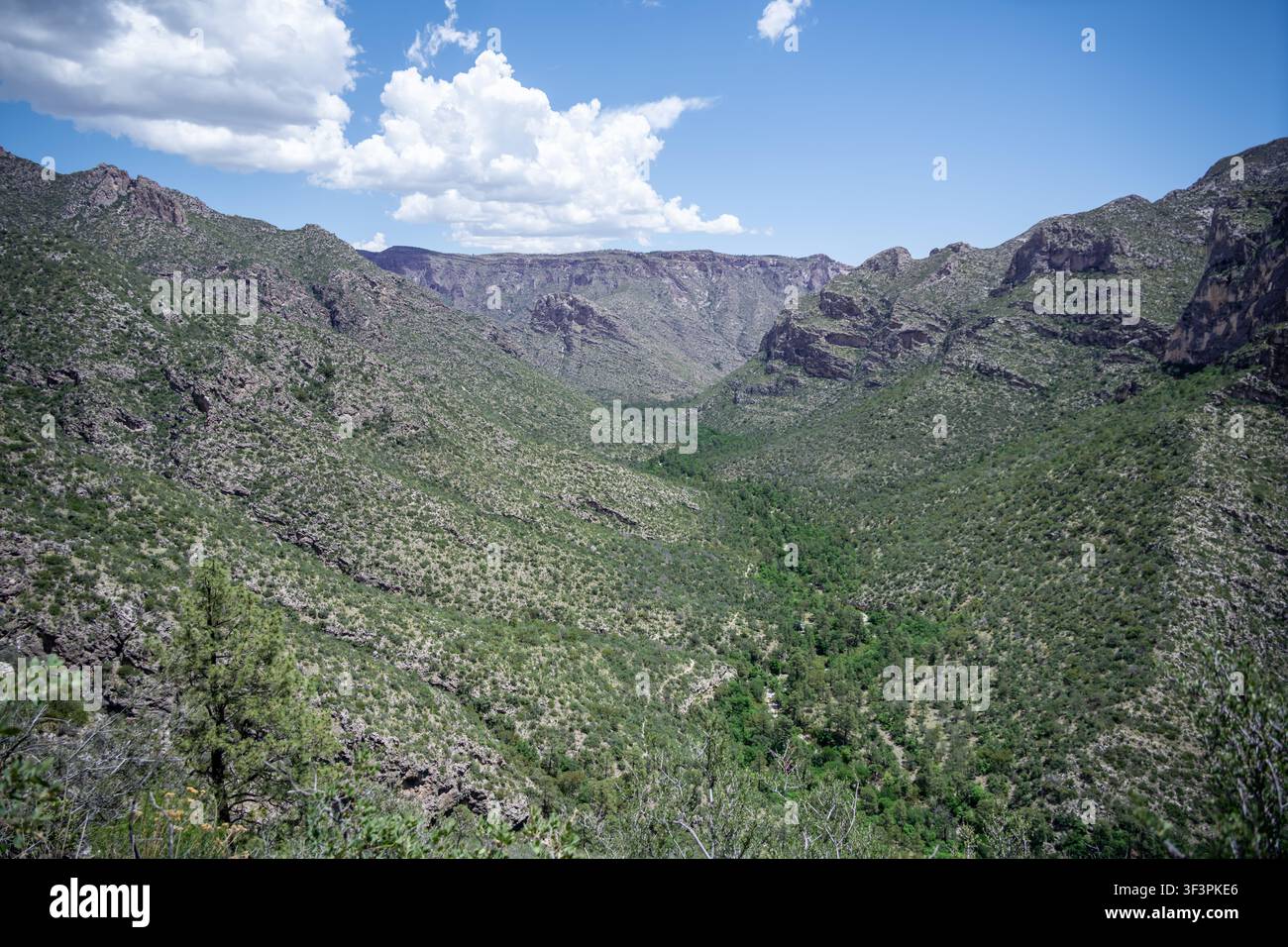 Blick auf den South McKittrick Canyon von The Notch aus, Guadalupe Mountains Nationalpark, in der Chihuahua-Wüste, Texas. Stockfoto