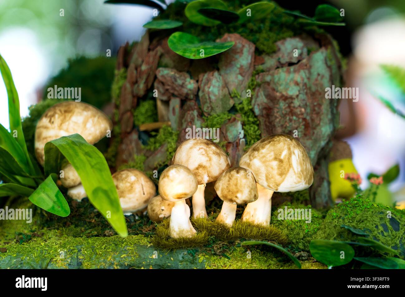 Charmantes Miniatur-Wald-Diorama mit weißen Pilzen, die auf üppigem grünem Moos, rustikaler Baumrinde und winzigen Blättern wachsen Stockfoto