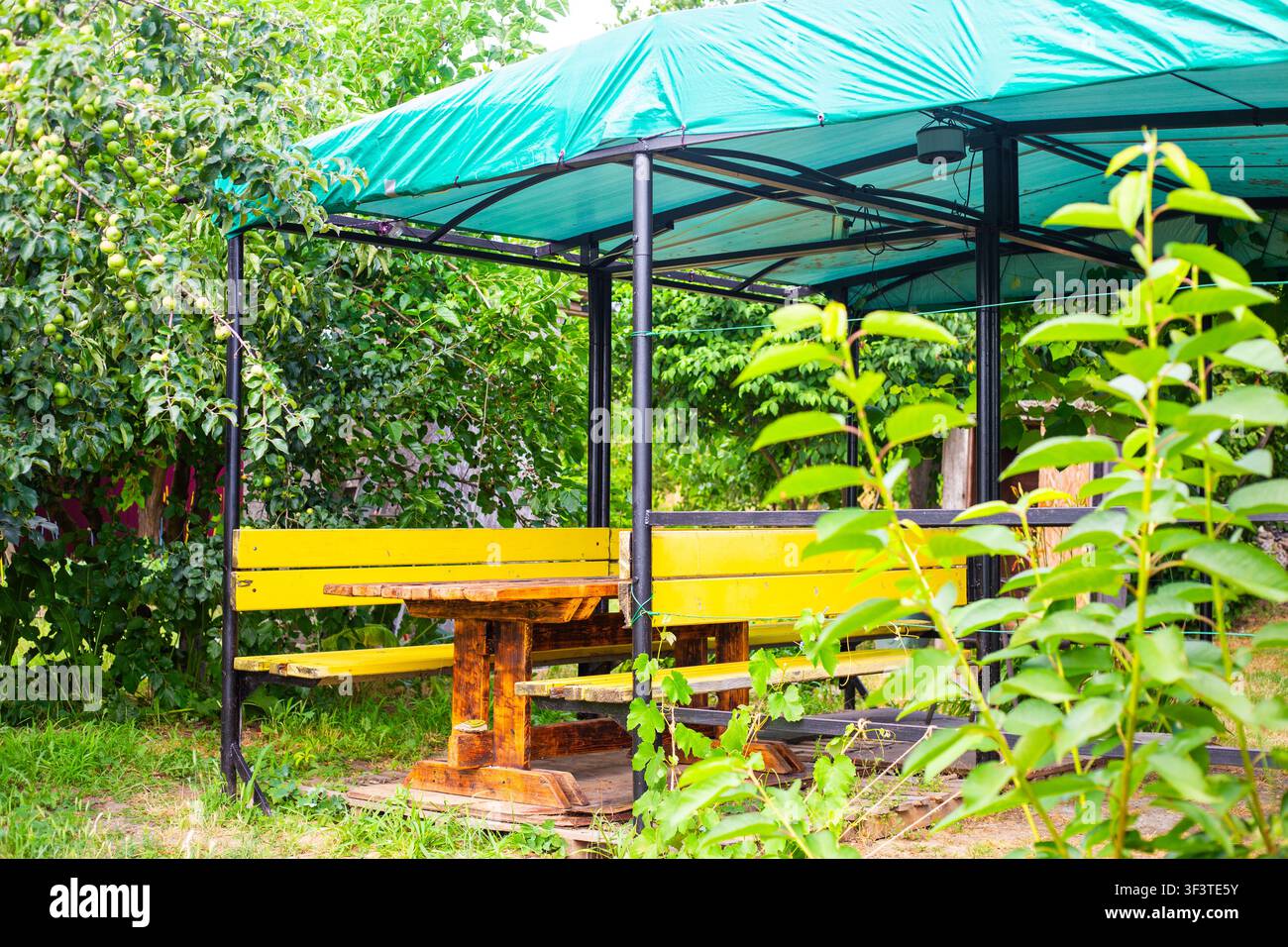 Ein gelber Holztisch und Bänke unter einem grünen Baldachin in einem üppigen Hintergartengarten. Außenbereich zum Essen, Picknickplatz im Hinterhof, Freizeit im Landhaus. Stockfoto