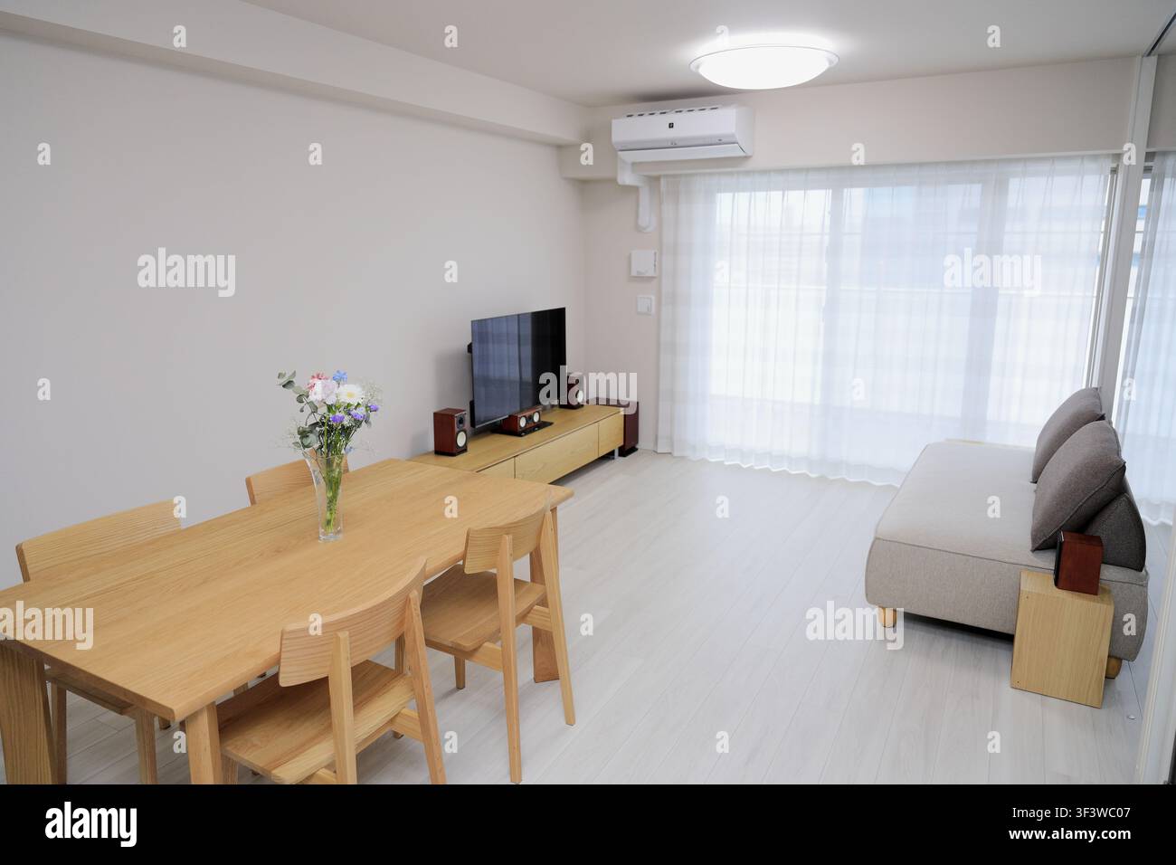Innenansicht eines hellen, natürlichen Wohn- und Esszimmers in einer modernen Wohnung Stockfoto