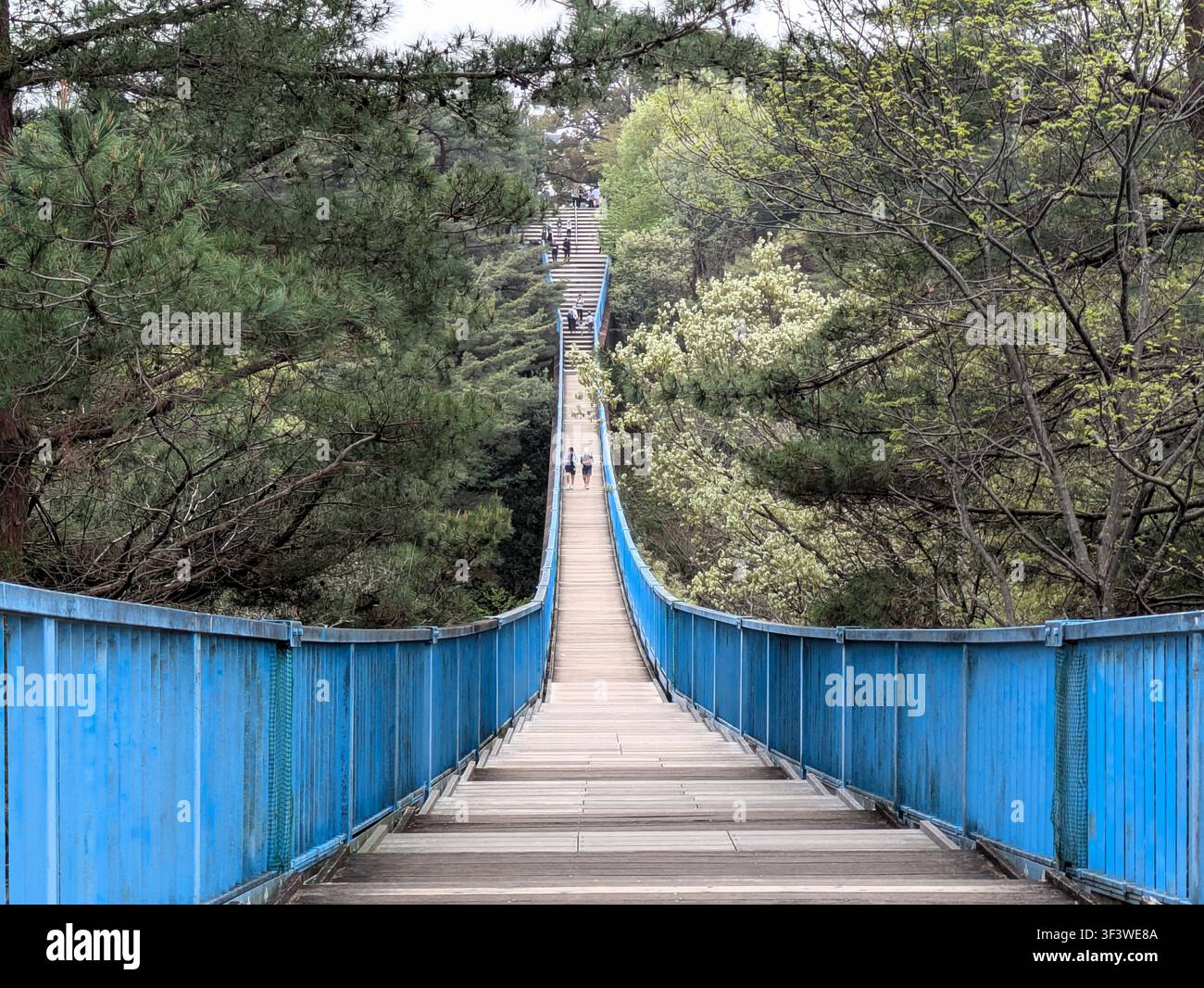 Hängebrücke in Utsunomiya. Stockfoto