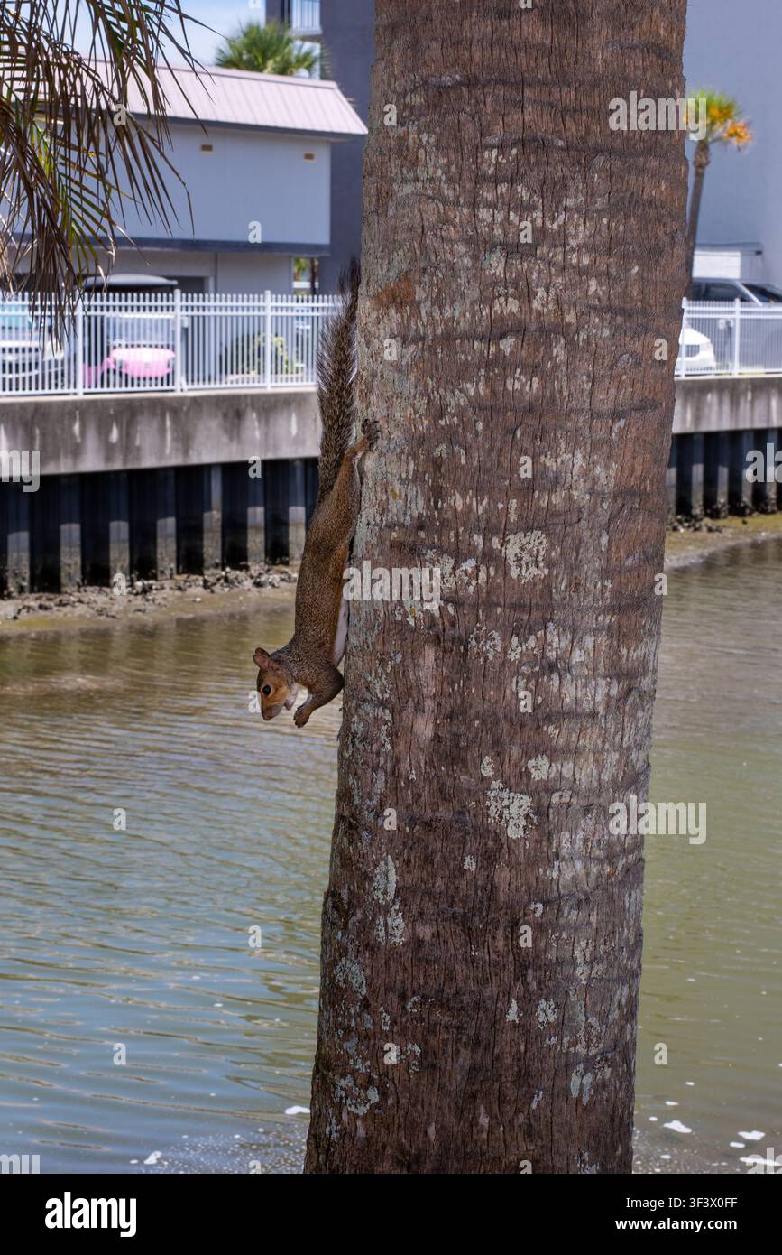Szenen aus dem historischen Viertel Canal Street in New Smyrna Beach, Florida. Stockfoto