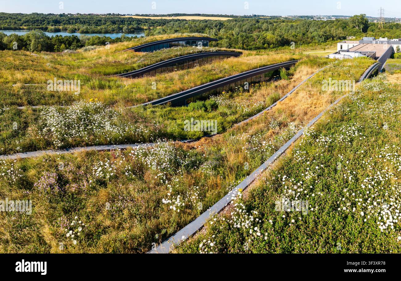 Ein grünes Dach mit üppiger Vegetation und Pflanzen auf einem umweltbewussten Geschäftsgebäude. Stockfoto