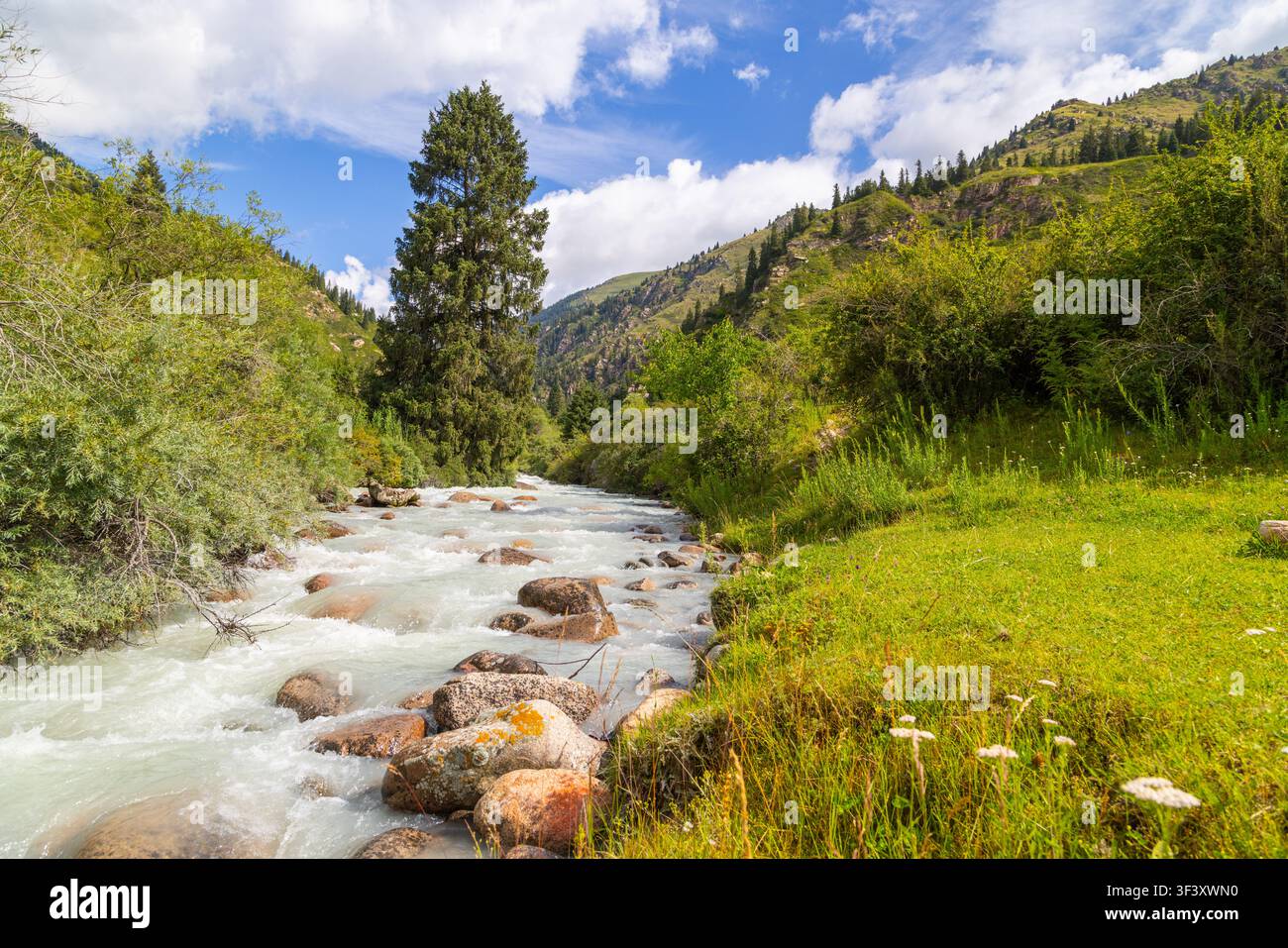 Ein Gebirgsbach stürzt über Felsen in einer ruhigen Landschaft. Üppige Bäume und grünes Gras umgeben das klare Wasser unter einem blauen Himmel mit weißen Wolken. Stockfoto