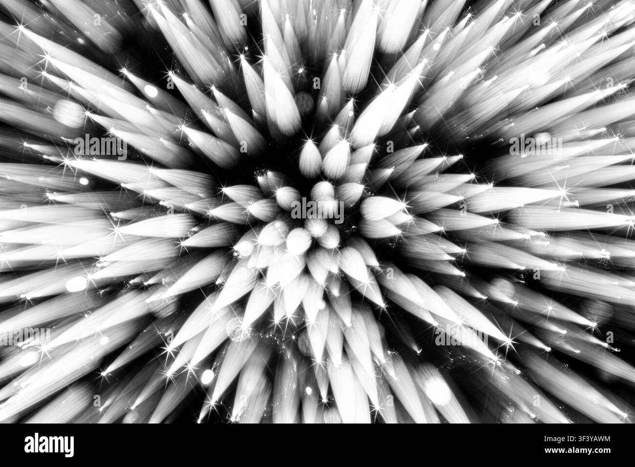 Makroaufnahme einer Dahlienblüte, aufgenommen mit Zoom-Burst oder spezialisierten kreativen Belichtungstechniken Stockfoto