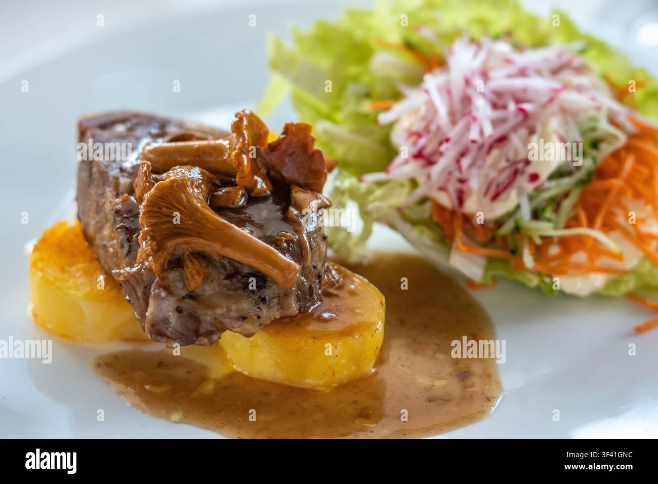 Schweinefilet mit Pfifferlingen garniert, auf runden geschnittenen Kartoffeln ruhend und begleitet von einem bunten Beilagensalat Stockfoto