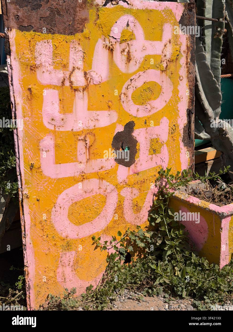 Verblasste rosa Straßenkunst an einer verwitterten gelben Mauer in Tamraght, Marokko, umgeben von üppigen grünen Pflanzen - Smartphone-aufgenommenes Stockfoto