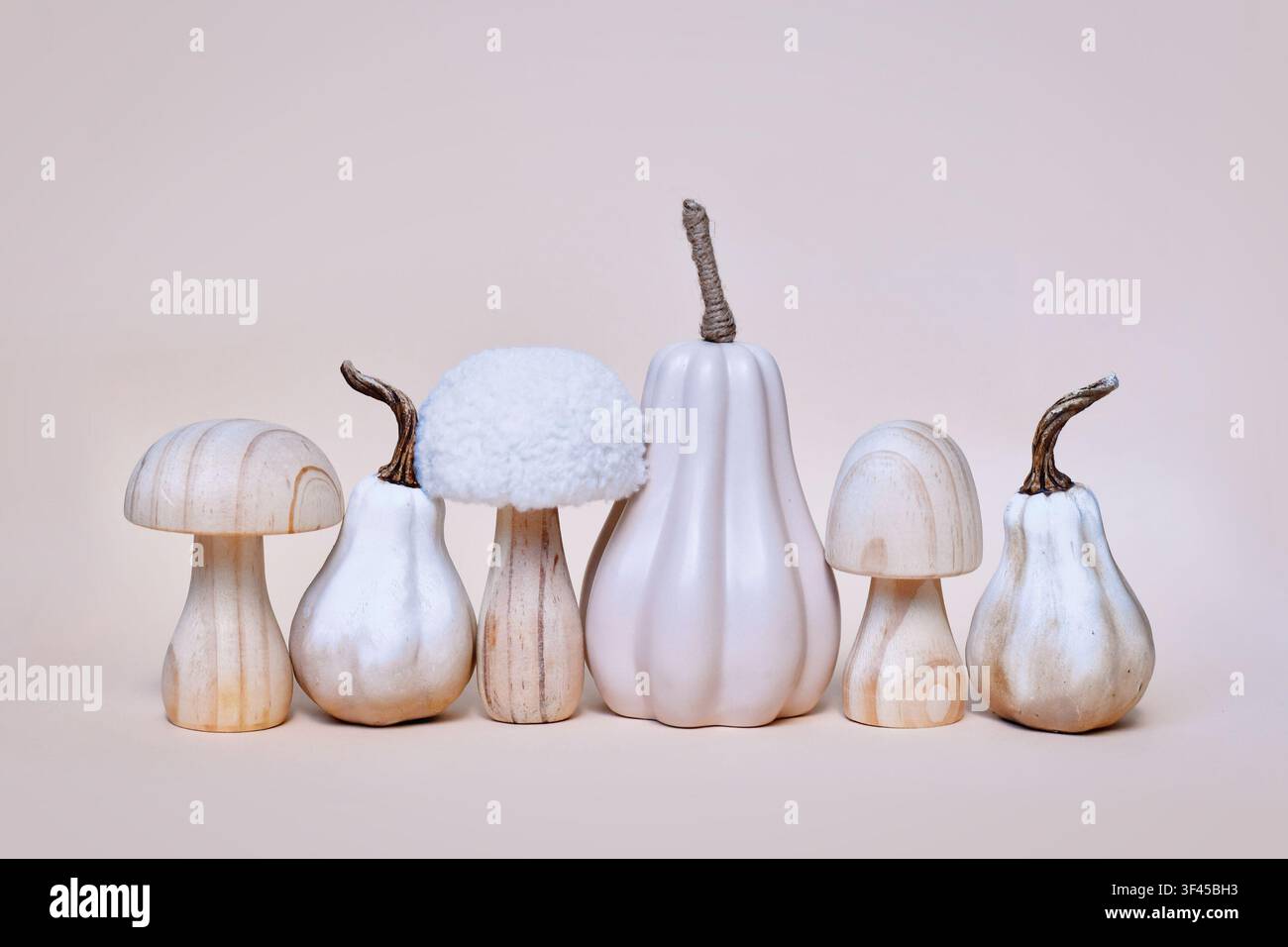Dekorativer Kürbis, Pilz- und Eichelornamente in einer Reihe auf beigem Hintergrund. Boho-Herbstkomposition Stockfoto