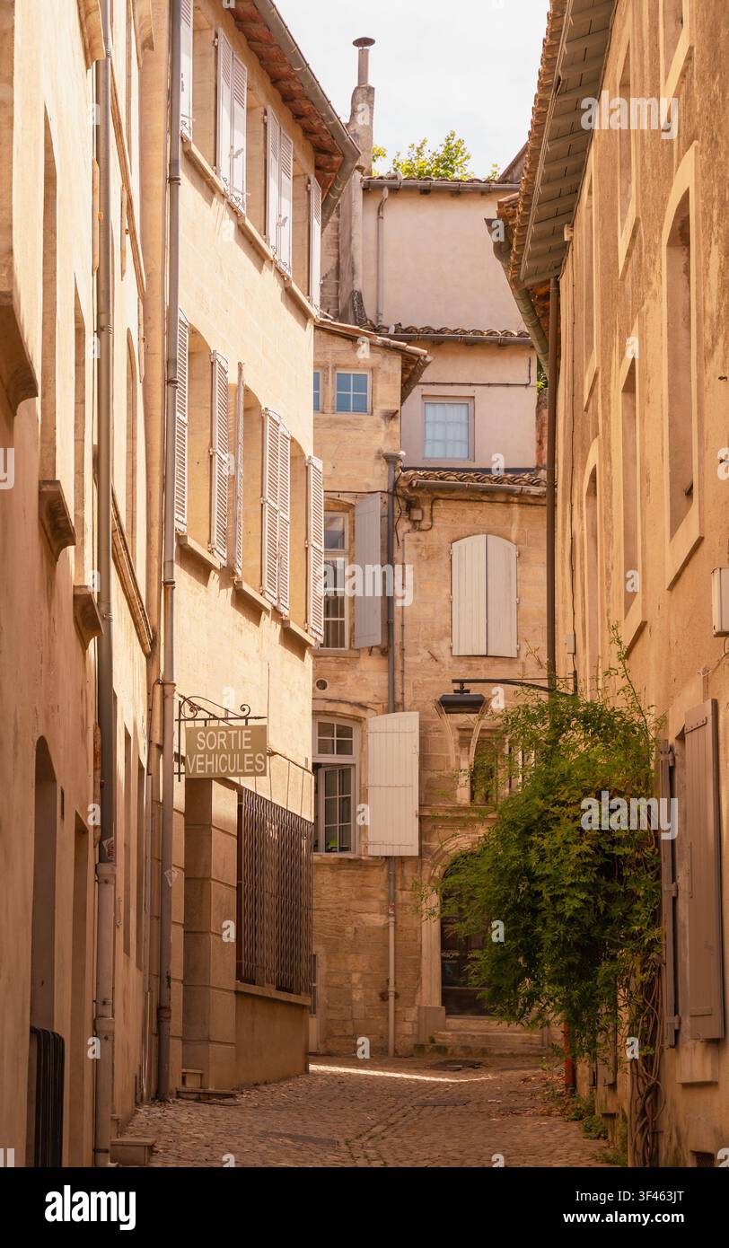 Ruhige historische Gasse, gesäumt von traditionellen Gebäuden in der Altstadt von Avignon, Frankreich Stockfoto