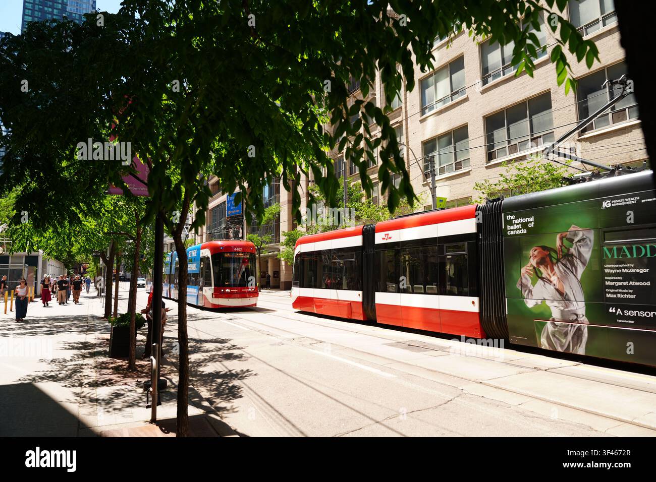 Toronto, Kanada - 23. Juni 2026: Moderne Straßenbahnen und Stadtleben auf einer sonnigen Innenstadtstraße Stockfoto