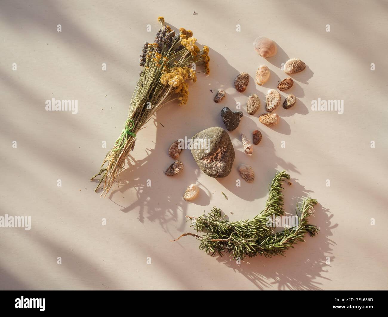 Sardinischer sonnenbeschienener Flat Lay – Wildblumen, Steine, Muscheln auf Weiß Stockfoto