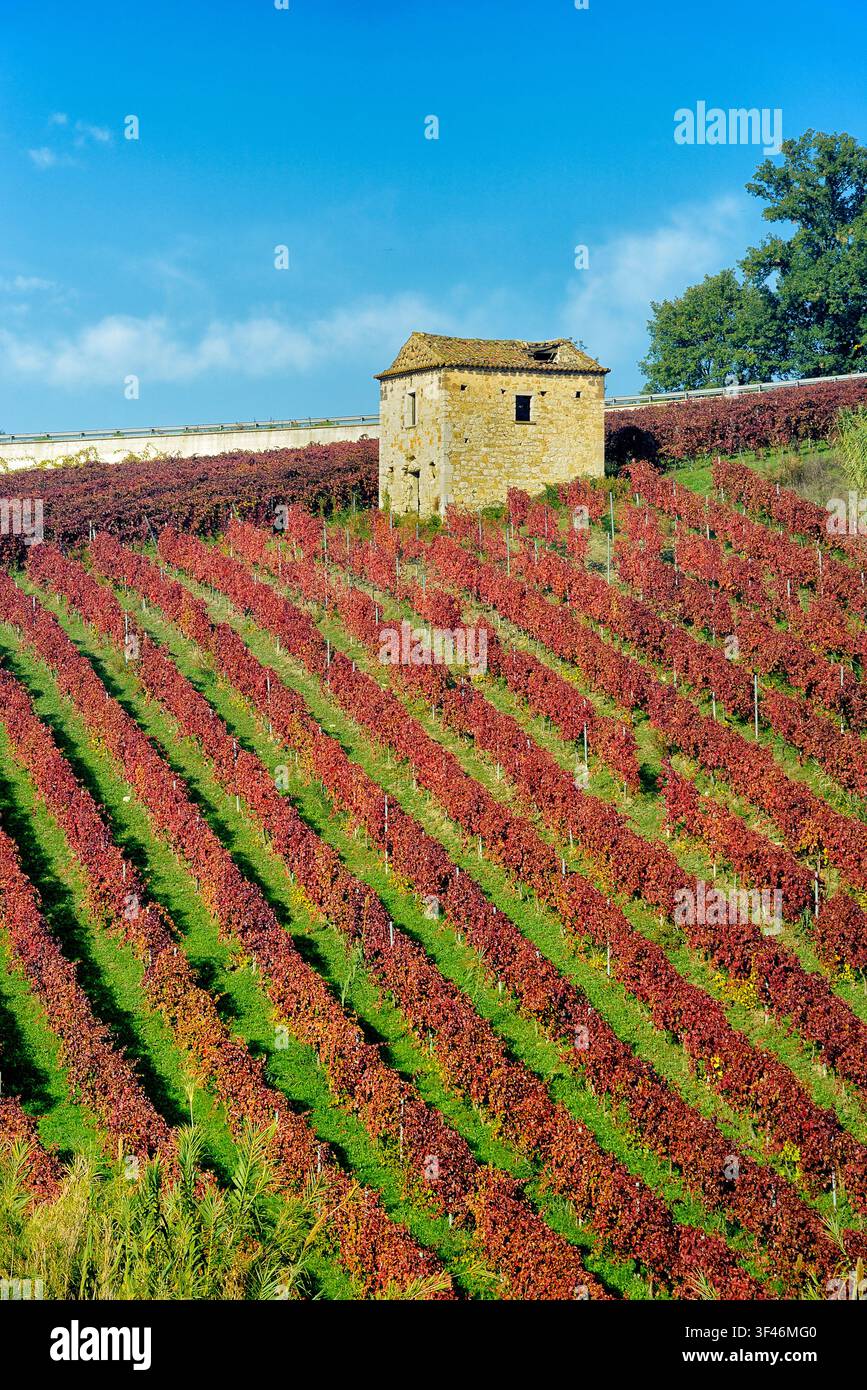 Agrarlandschaft Italien Kampanien Guardia Sanframondi (Bn) Stockfoto