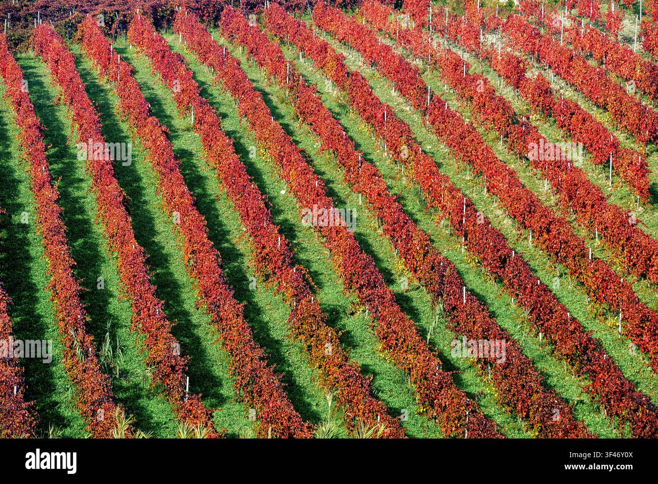 Agrarlandschaft Italien Kampanien Guardia Sanframondi (Bn) Stockfoto