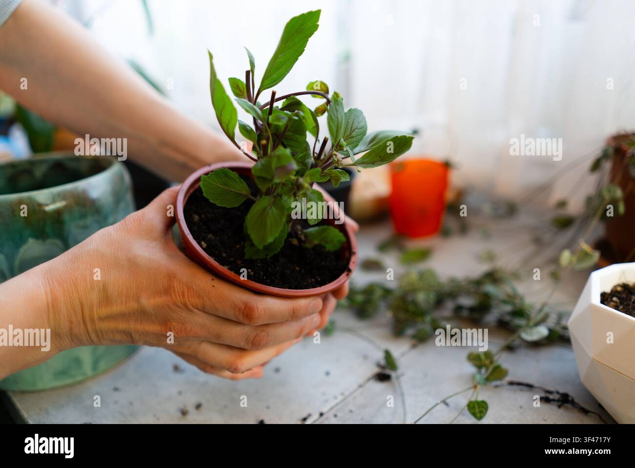 Frau, die in der Hand hält Stockfoto