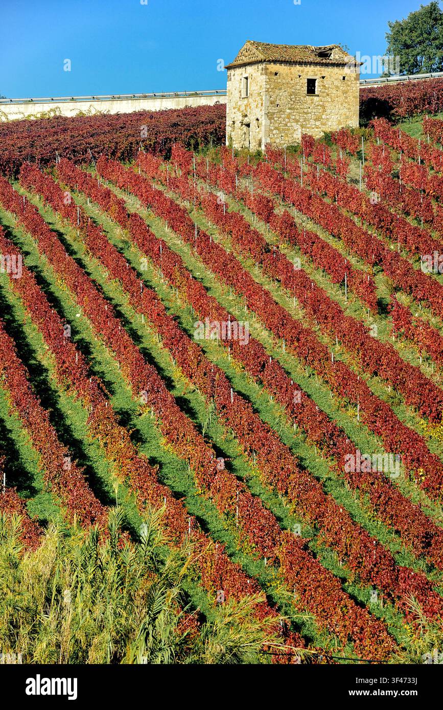 Agrarlandschaft Italien Kampanien Guardia Sanframondi (Bn) Stockfoto