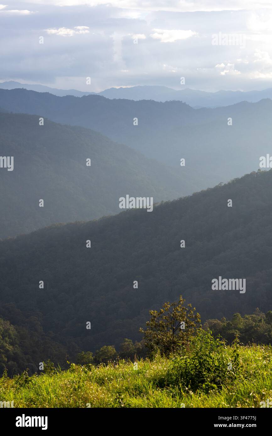 Ein üppiger grüner Bergkamm mit geschichteten blauen nebligen Gipfeln und sanftem Sonnenlicht, das eine ruhige Atmosphäre schafft Stockfoto