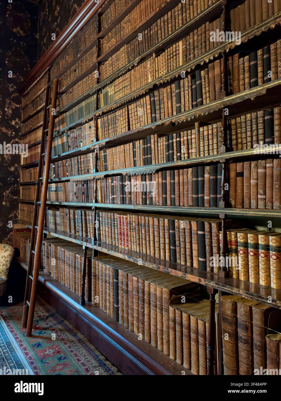 Antike Bücher in der Bibliothek von Brodsworth Hall and Gardens nahe Doncaster, in South Yorkshire, England. Das Hall ist eines der vollständigsten Überbleibsel Stockfoto