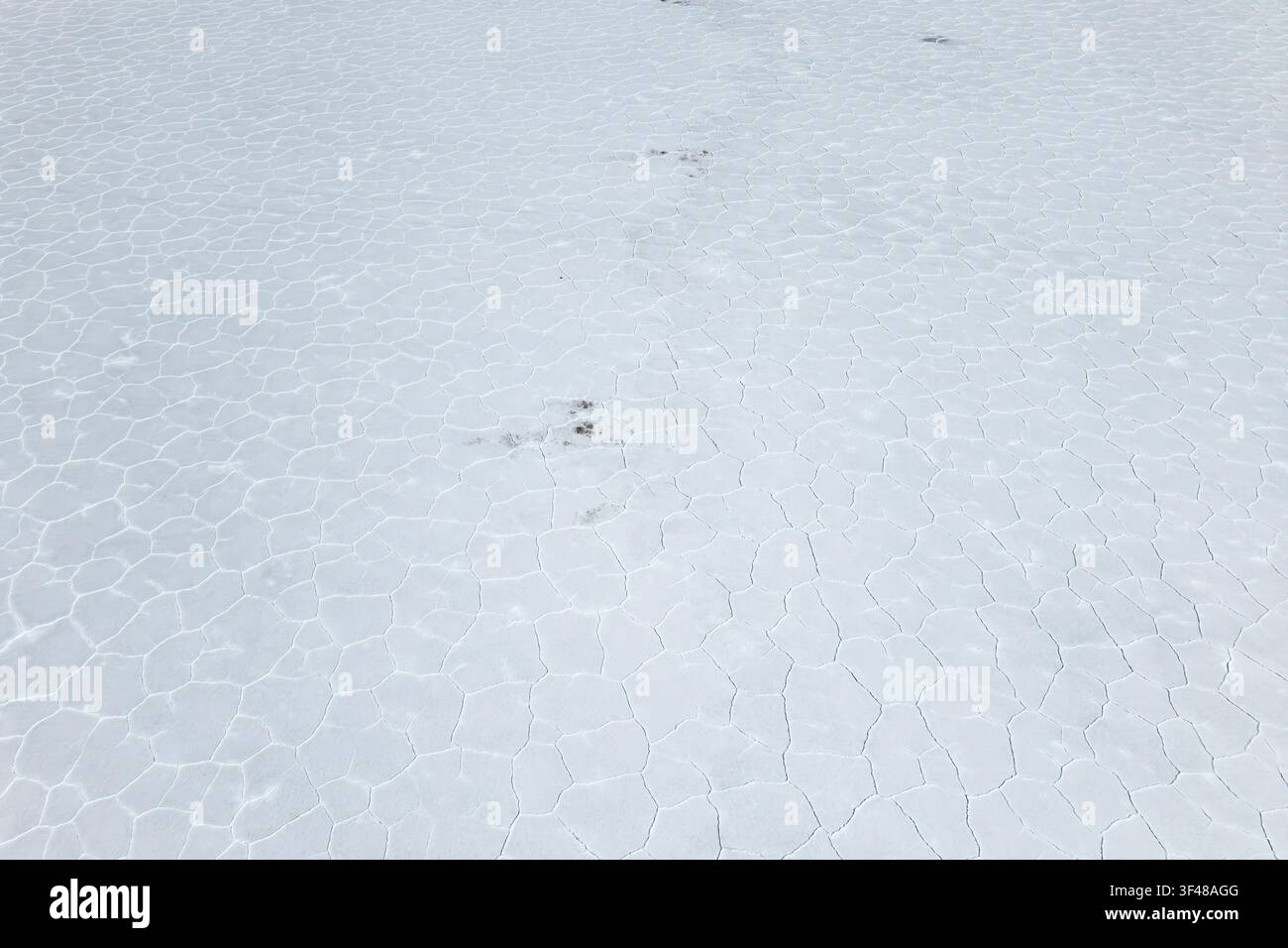 Minimalistischer Hintergrund mit weißer Salzwüstentextur und natürlichen polygonalen Rissen, die ein geometrisches Muster auf der Oberfläche im Salar de Uyuni, Bolivien, bilden Stockfoto