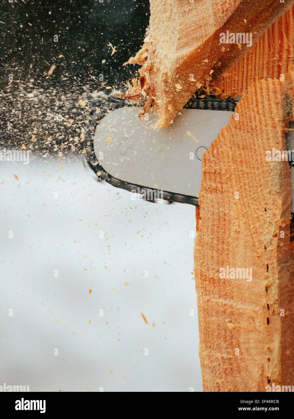 Kettensäge schneidet Holz, wobei Sägemehl und Holzspäne durch die Luft fliegen. Stockfoto