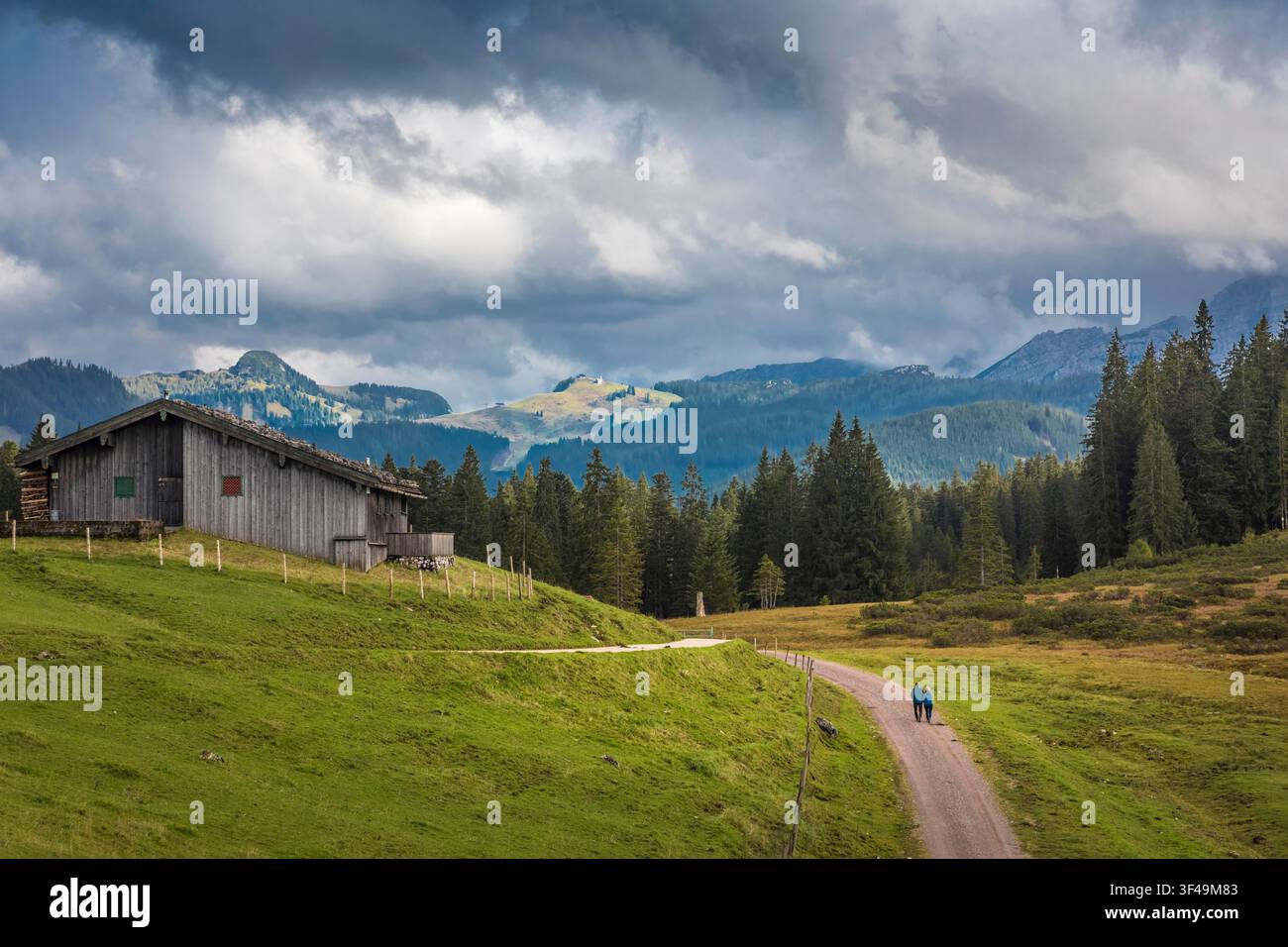Wanderweg auf der Winklmoosalm, Reit im Winkl, Oberbayern, Bayern, Deutschland Stockfoto