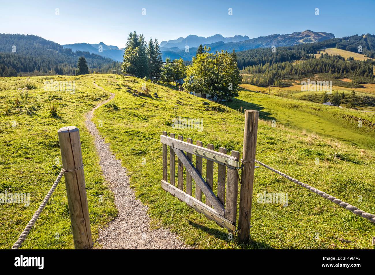 Wanderweg auf der Winklmoosalm, Reit im Winkl, Oberbayern, Bayern, Deutschland Stockfoto